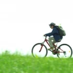 Max Baissette de Malglaive